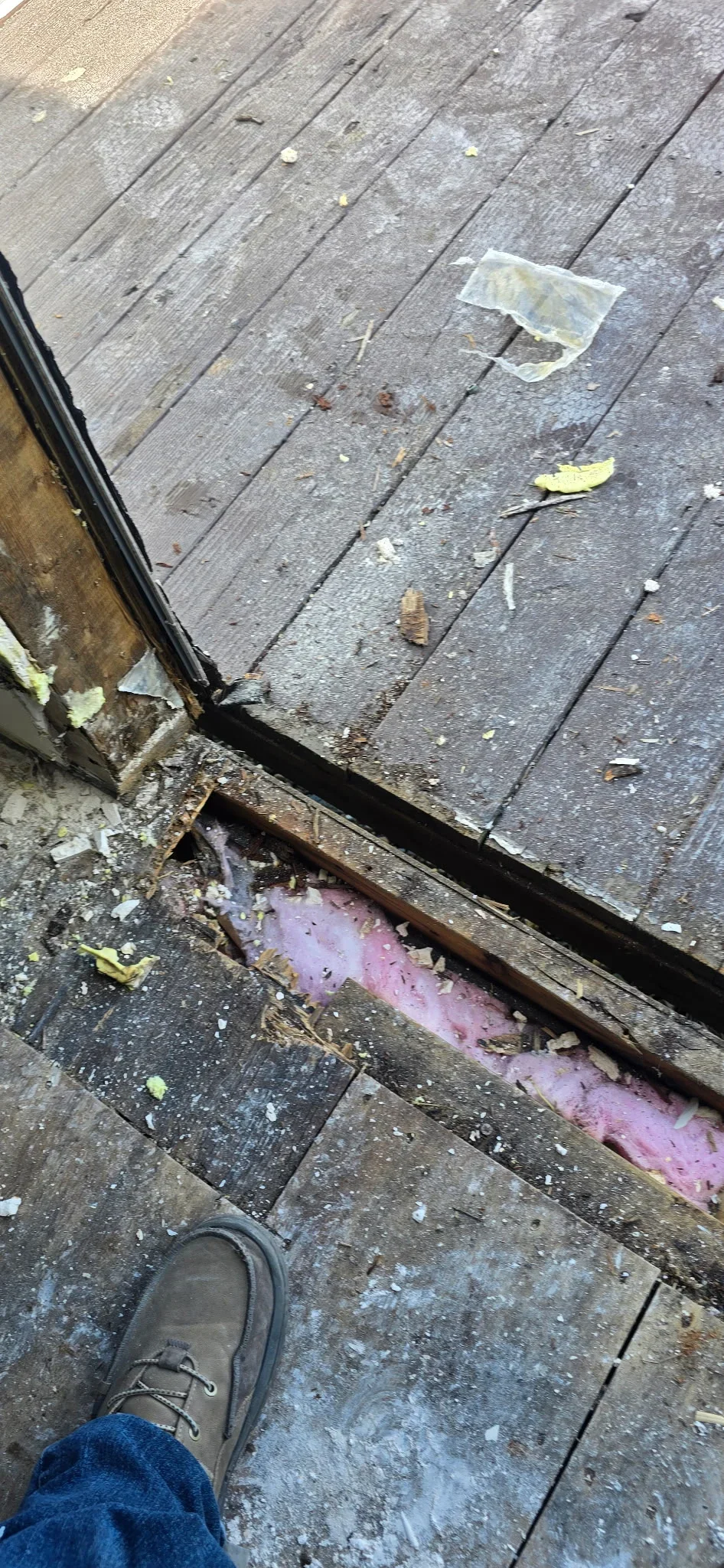 Deck boards with rotted wood removal and new pink pressure-treated lumber replacement